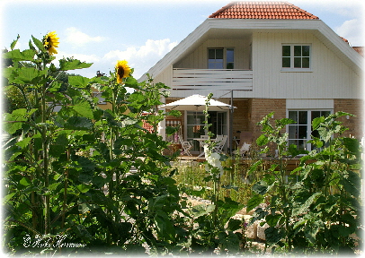 Haus Dani am See im Sommer. Der Garten.